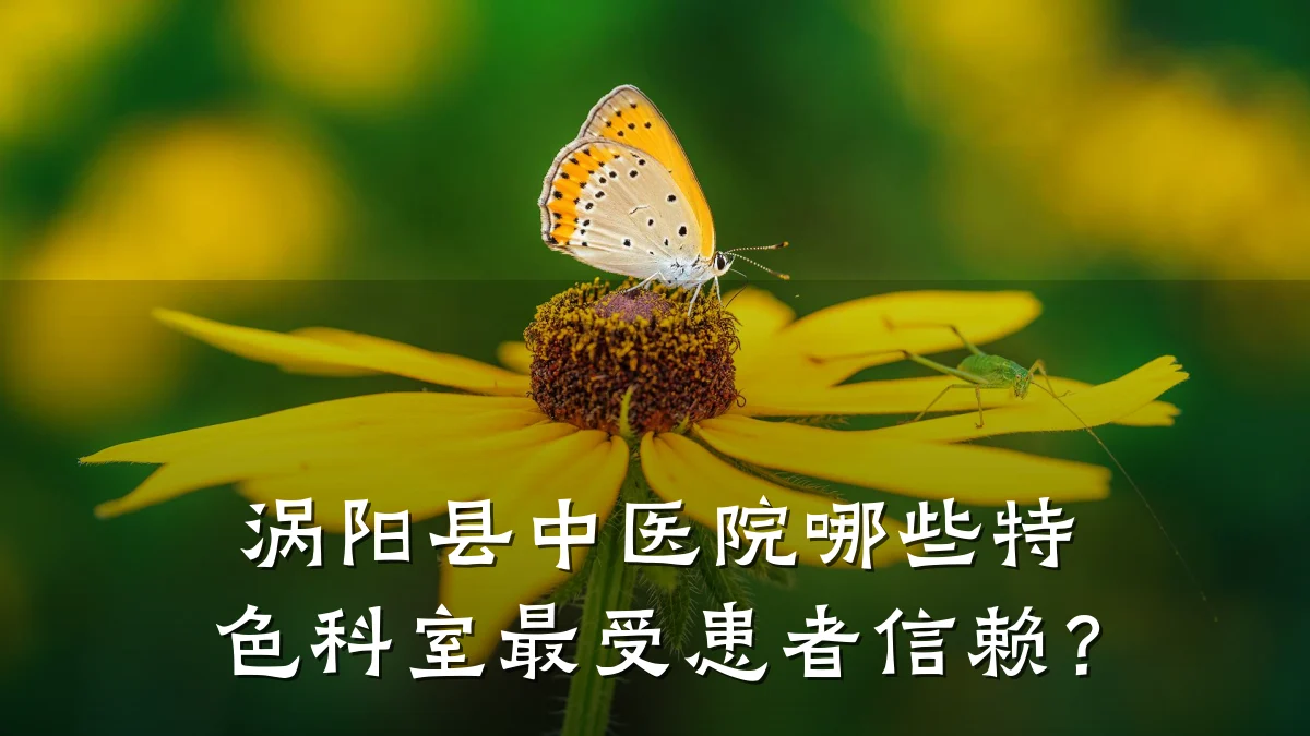 涡阳县中医院哪些特色科室最受患者信赖?