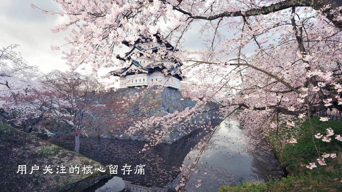用户关注的核心留存痛