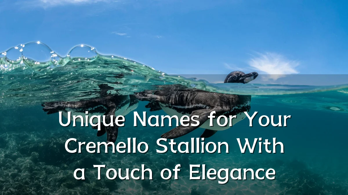Unique Names for Your Cremello Stallion With a Touch of Elegance