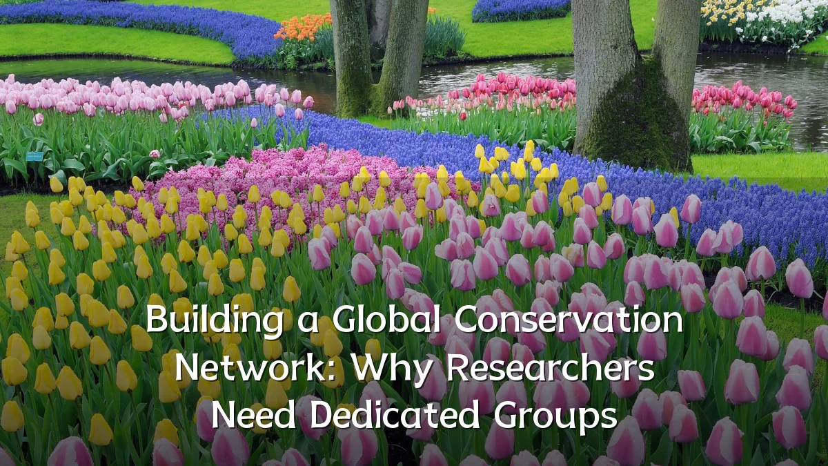 Building a Global Conservation Network: Why Researchers Need Dedicated Groups