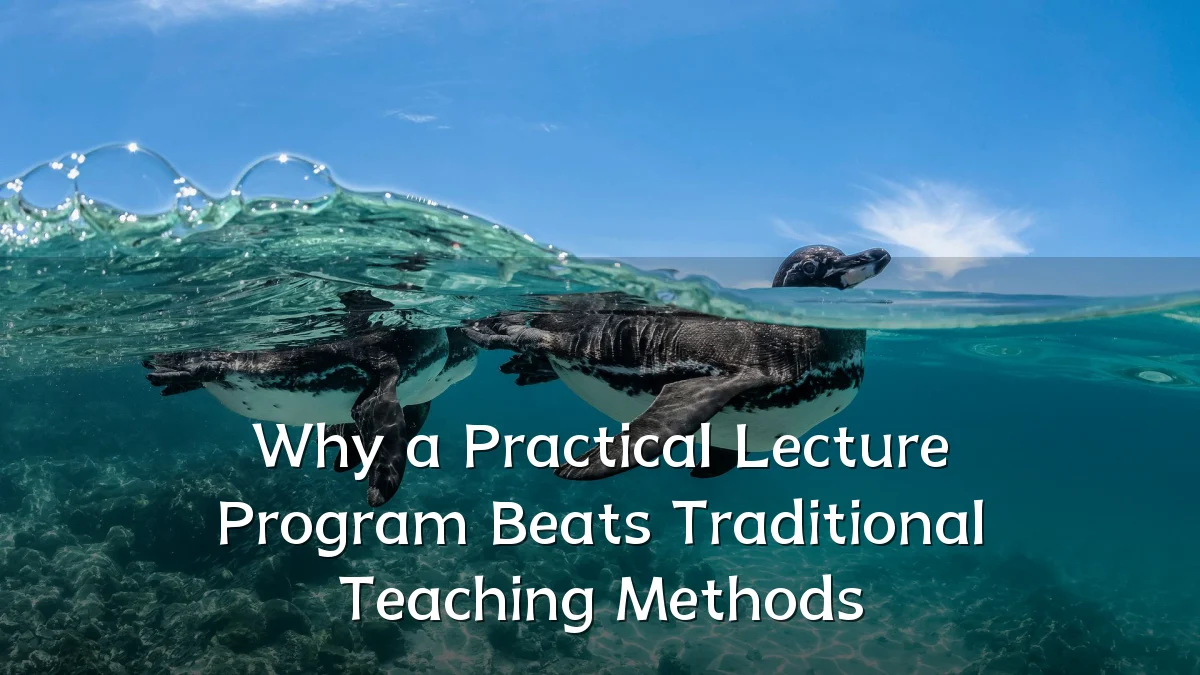 Why a Practical Lecture Program Beats Traditional Teaching Methods