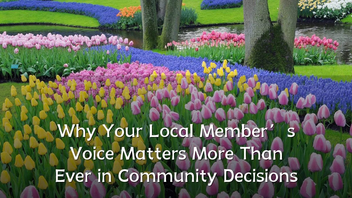 Why Your Local Member’s Voice Matters More Than Ever in Community Decisions