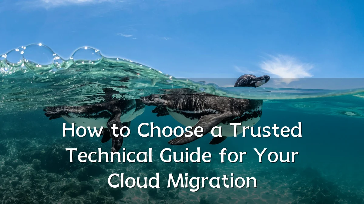 How to Choose a Trusted Technical Guide for Your Cloud Migration