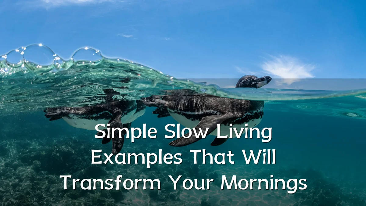 Simple Slow Living Examples That Will Transform Your Mornings