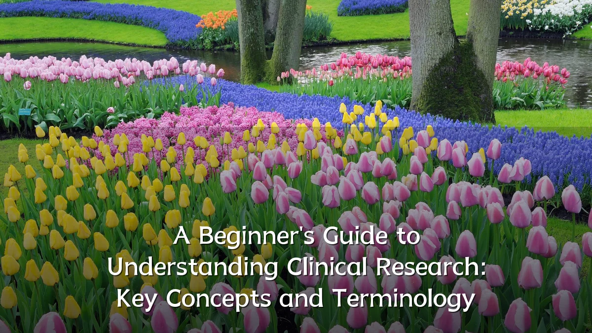 A Beginner's Guide to Understanding Clinical Research: Key Concepts and Terminology