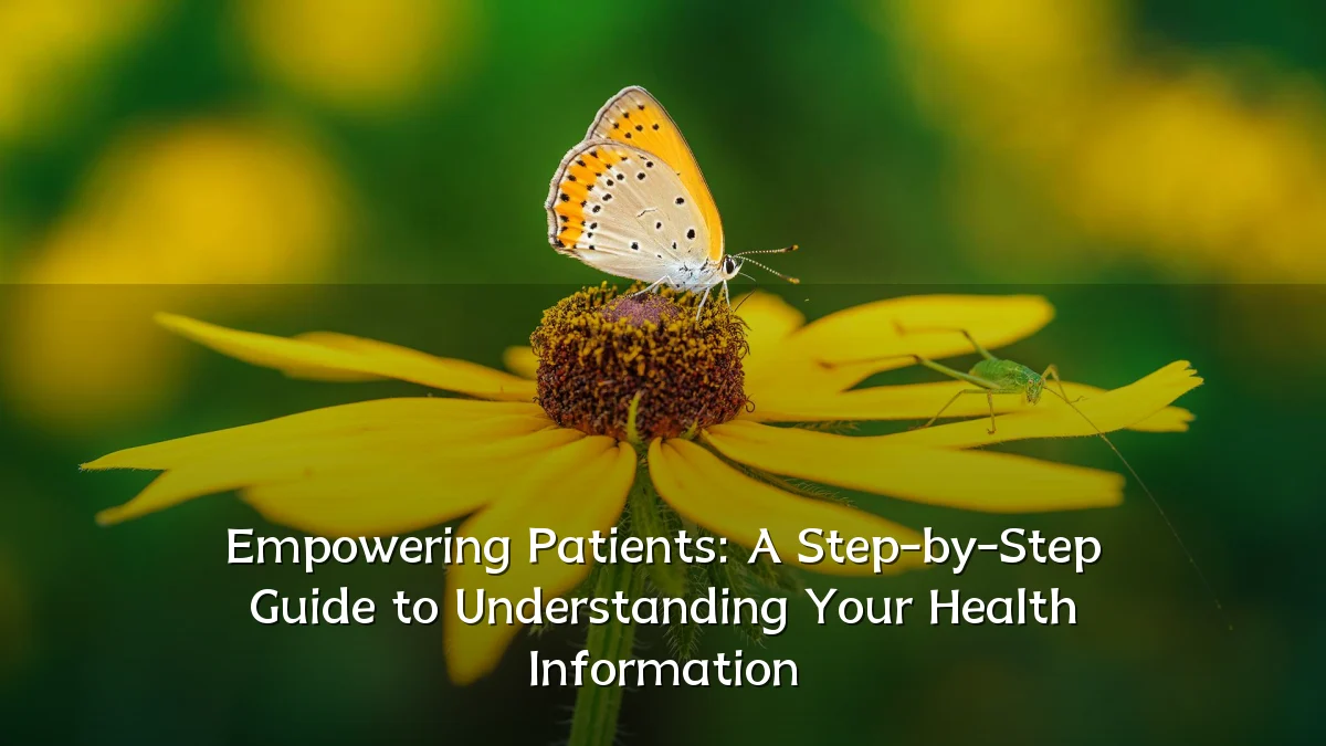 Empowering Patients: A Step-by-Step Guide to Understanding Your Health Information