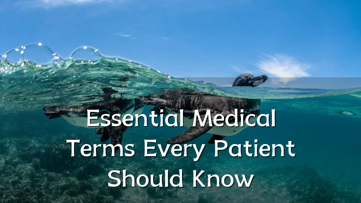 Essential Medical Terms Every Patient Should Know