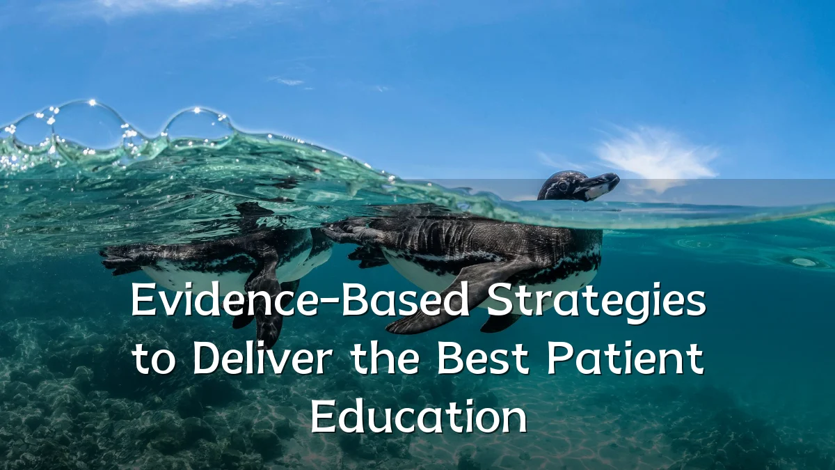 Evidence-Based Strategies to Deliver the Best Patient Education