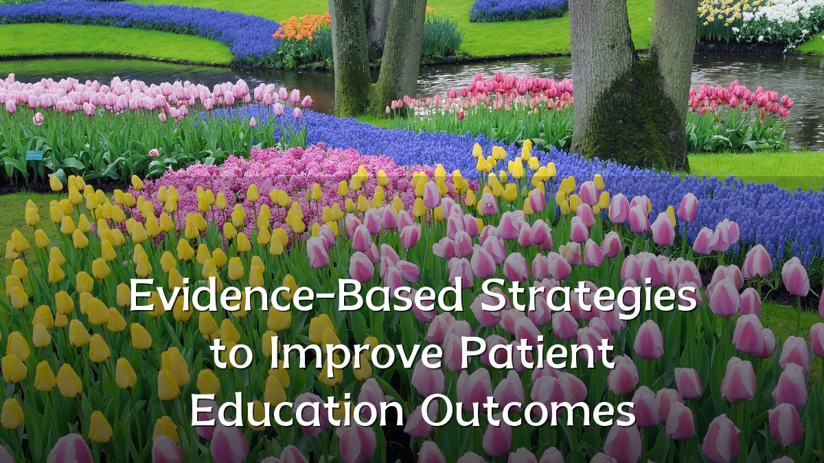 Evidence-Based Strategies to Improve Patient Education Outcomes