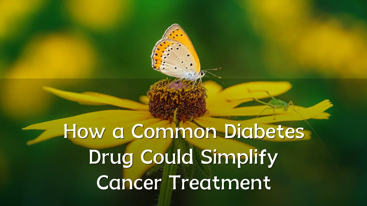 How a Common Diabetes Drug Could Simplify Cancer Treatment