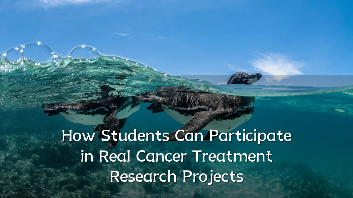 How Students Can Participate in Real Cancer Treatment Research Projects