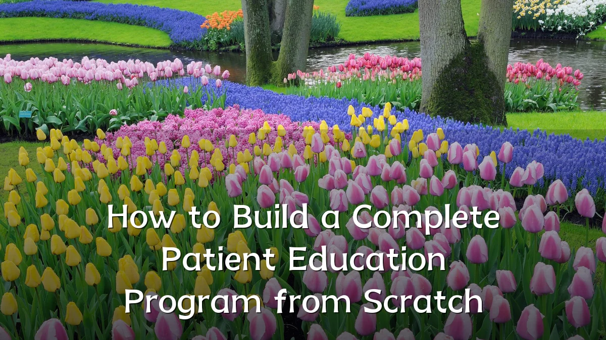 How to Build a Complete Patient Education Program from Scratch