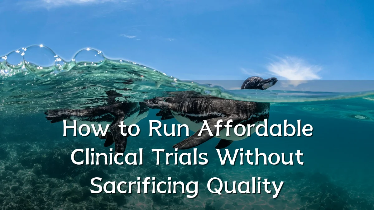 How to Run Affordable Clinical Trials Without Sacrificing Quality