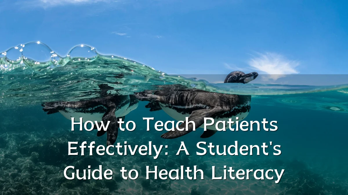 How to Teach Patients Effectively: A Student's Guide to Health Literacy