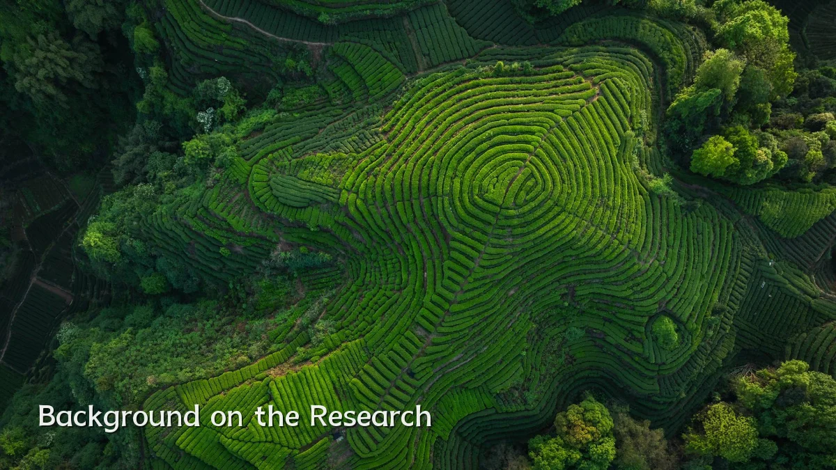 Background on the Research