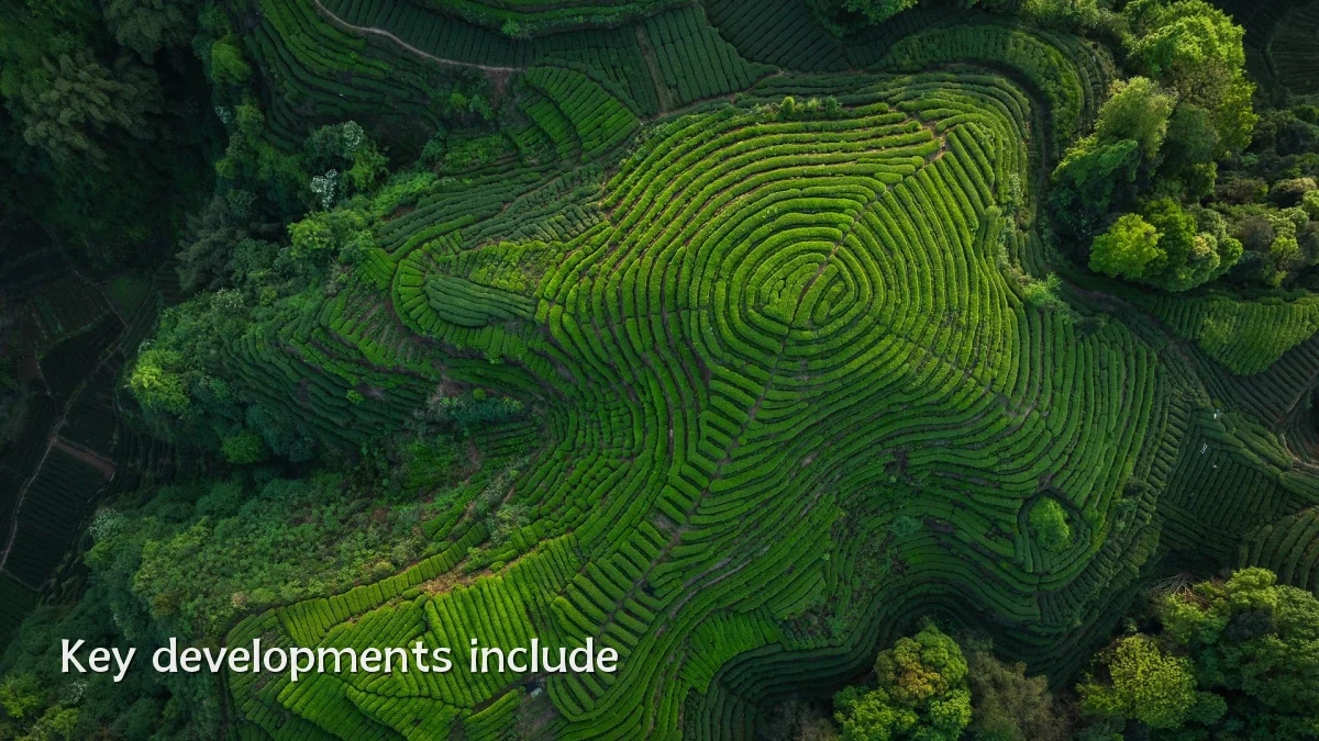 Key developments include