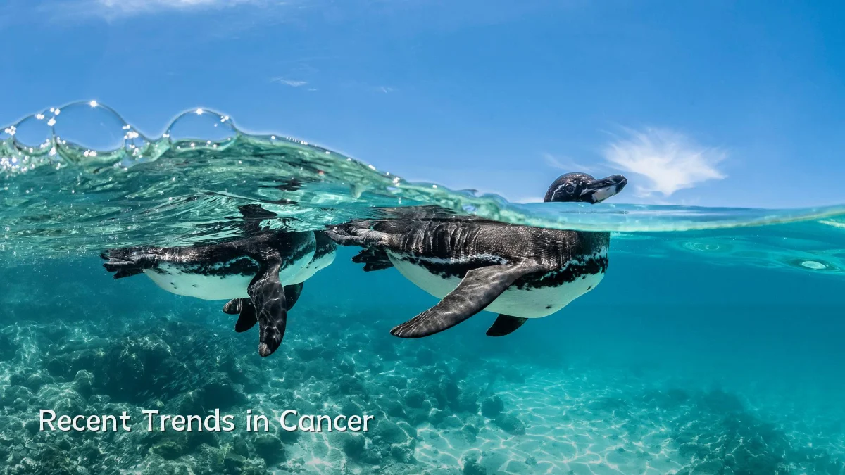 Recent Trends in Cancer