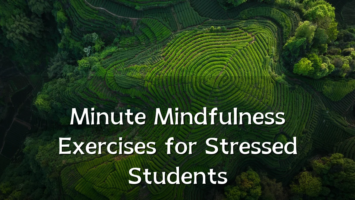 Minute Mindfulness Exercises for Stressed Students