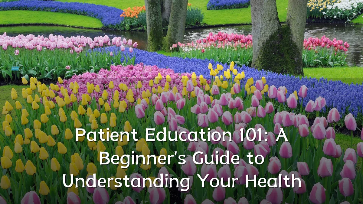 Patient Education 101: A Beginner's Guide to Understanding Your Health