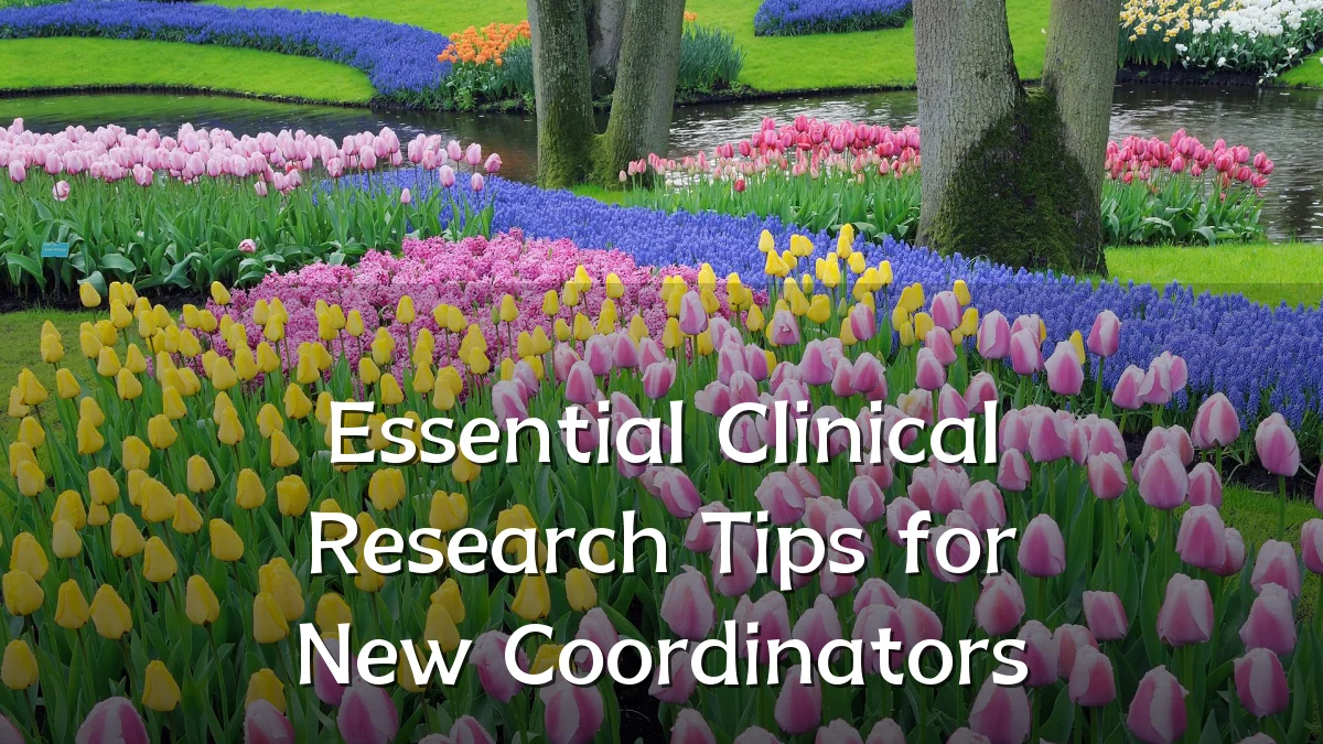 Essential Clinical Research Tips for New Coordinators