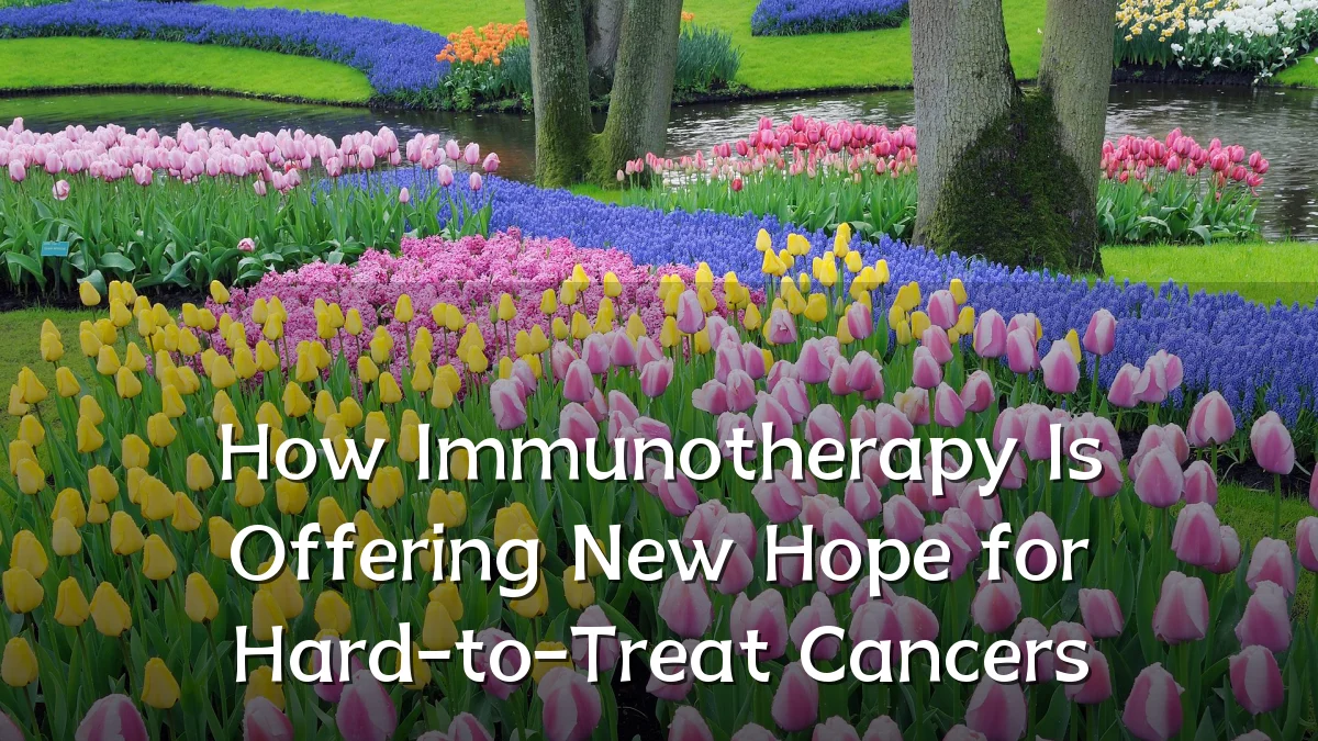 How Immunotherapy Is Offering New Hope for Hard-to-Treat Cancers