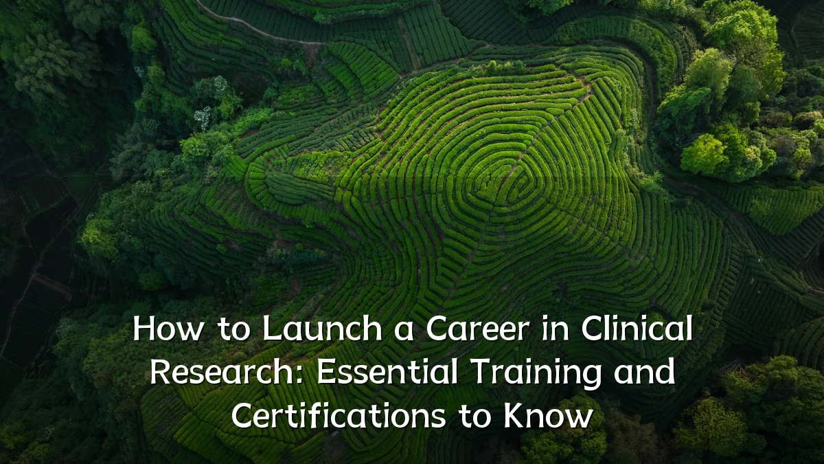 How to Launch a Career in Clinical Research: Essential Training and Certifications to Know