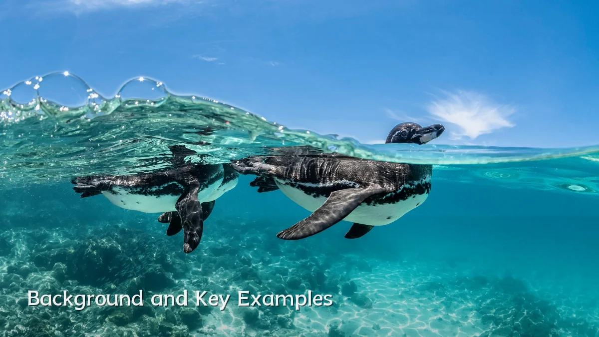 Background and Key Examples