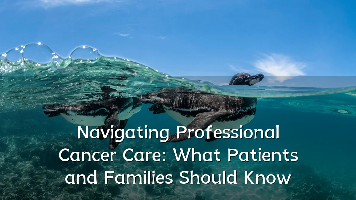 Navigating Professional Cancer Care: What Patients and Families Should Know