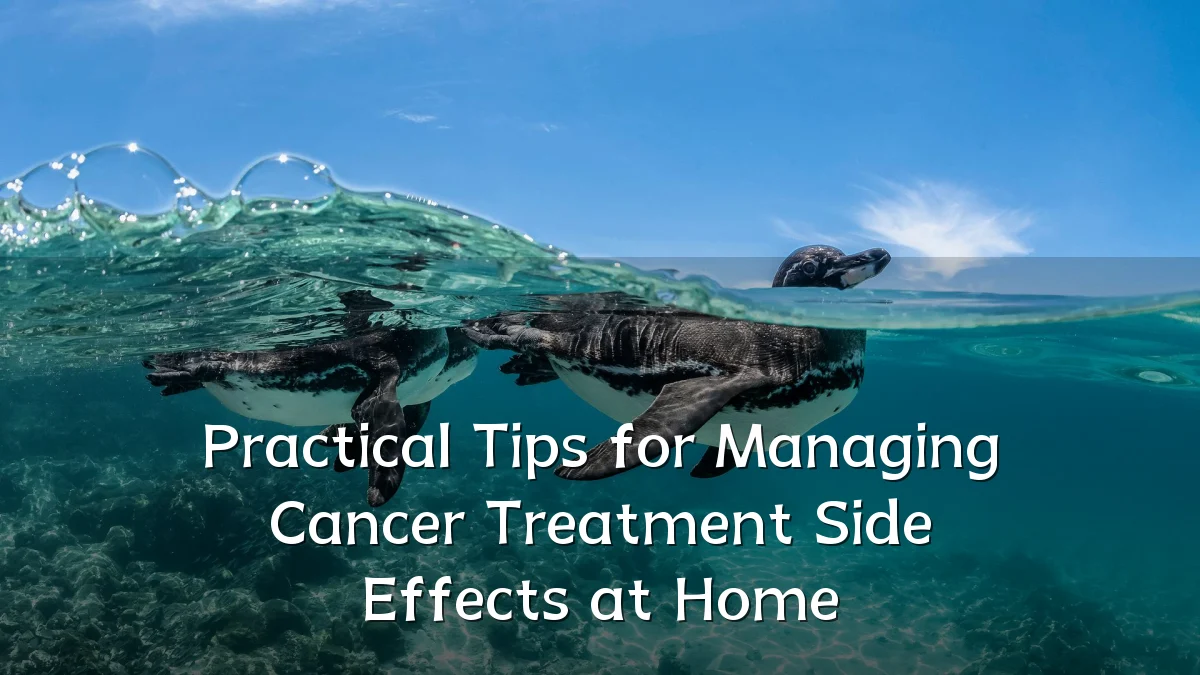 Practical Tips for Managing Cancer Treatment Side Effects at Home