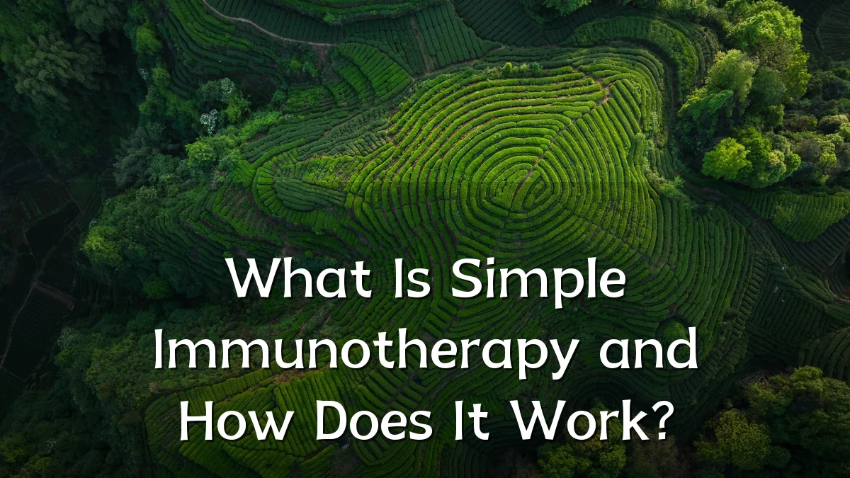 What Is Simple Immunotherapy and How Does It Work?